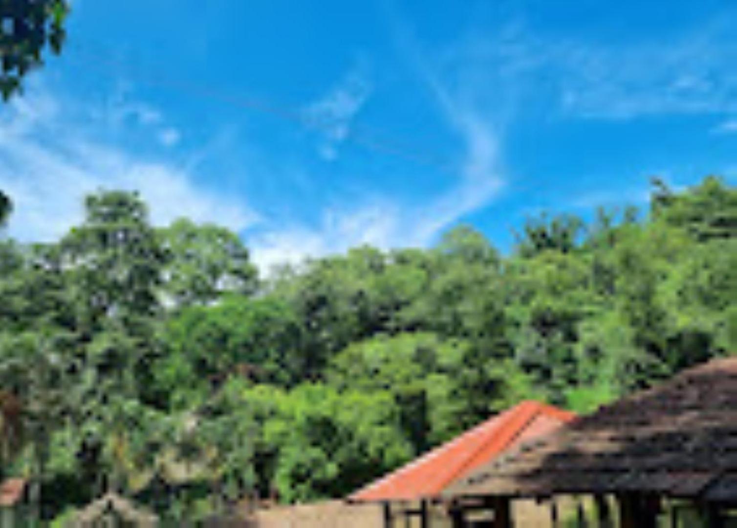 บราฮมาพูตราจังเกิลรีสอร์ท กูวาฮาติ ภายนอก รูปภาพ