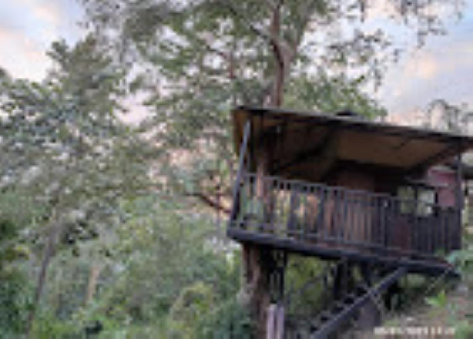 บราฮมาพูตราจังเกิลรีสอร์ท กูวาฮาติ ภายนอก รูปภาพ