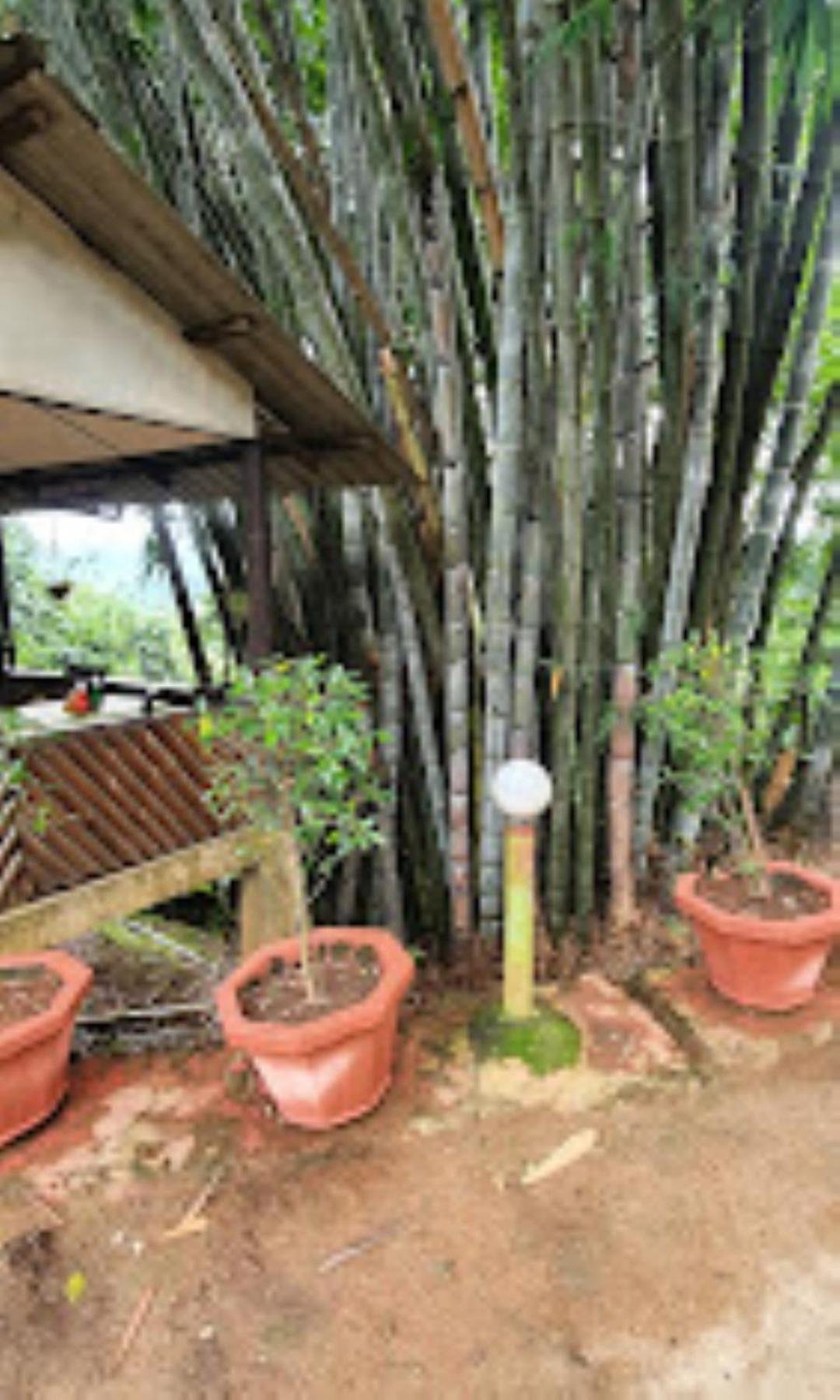 บราฮมาพูตราจังเกิลรีสอร์ท กูวาฮาติ ภายนอก รูปภาพ
