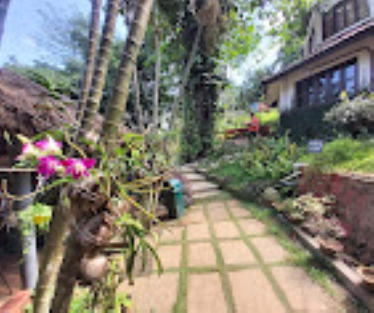 บราฮมาพูตราจังเกิลรีสอร์ท กูวาฮาติ ภายนอก รูปภาพ